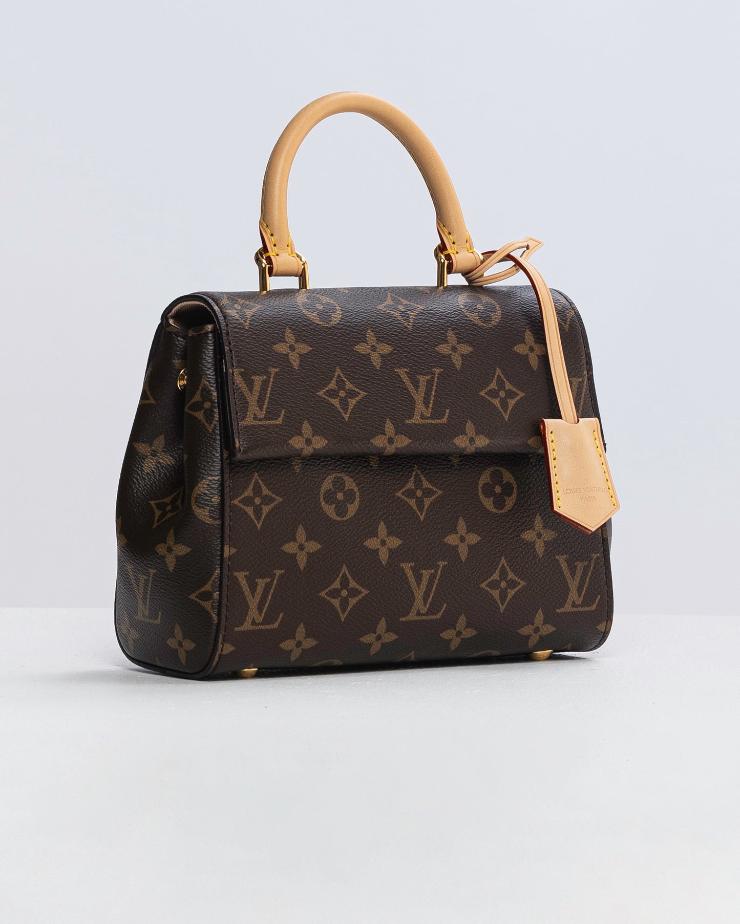 Louis Vuitton Monogram Clunny Mini handbag