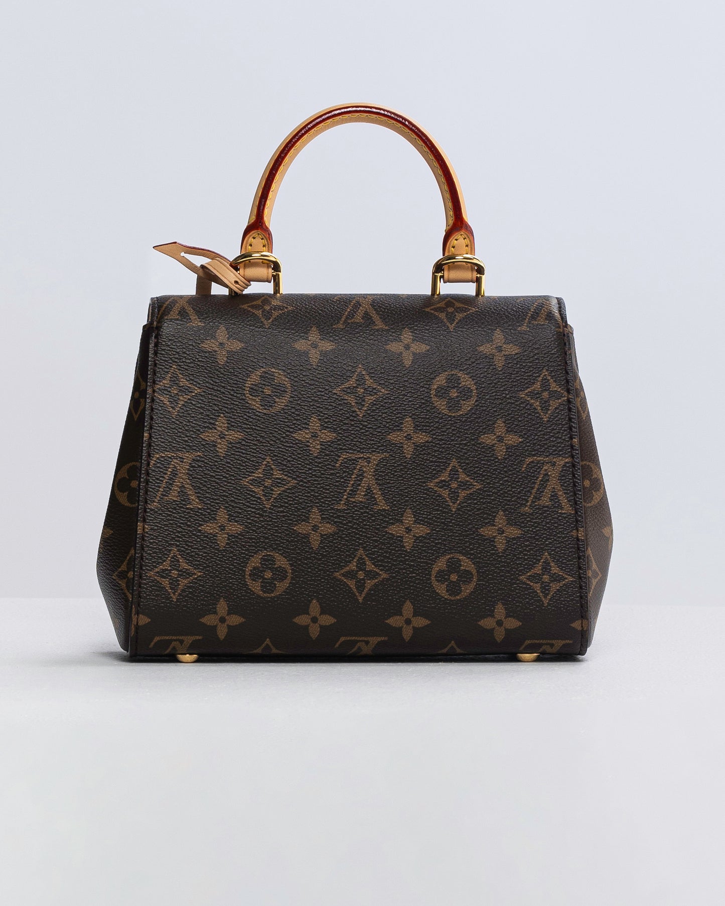 Louis Vuitton Monogram Clunny Mini handbag