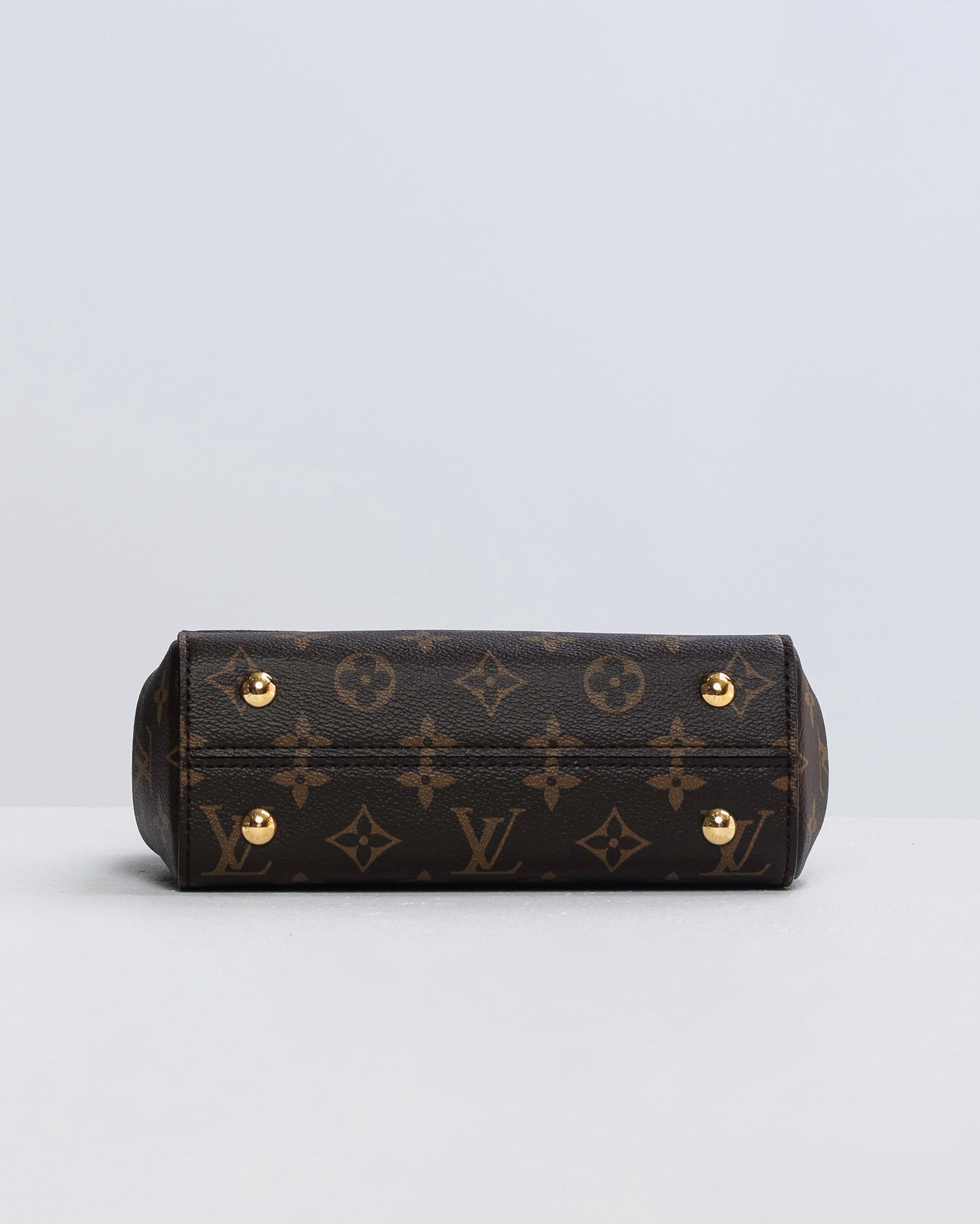 Louis Vuitton Monogram Clunny Mini handbag