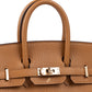 Birkin 25 HSS Caramel with Rose Mexico Interior in Chèvre Leather with Light Gold Hardware