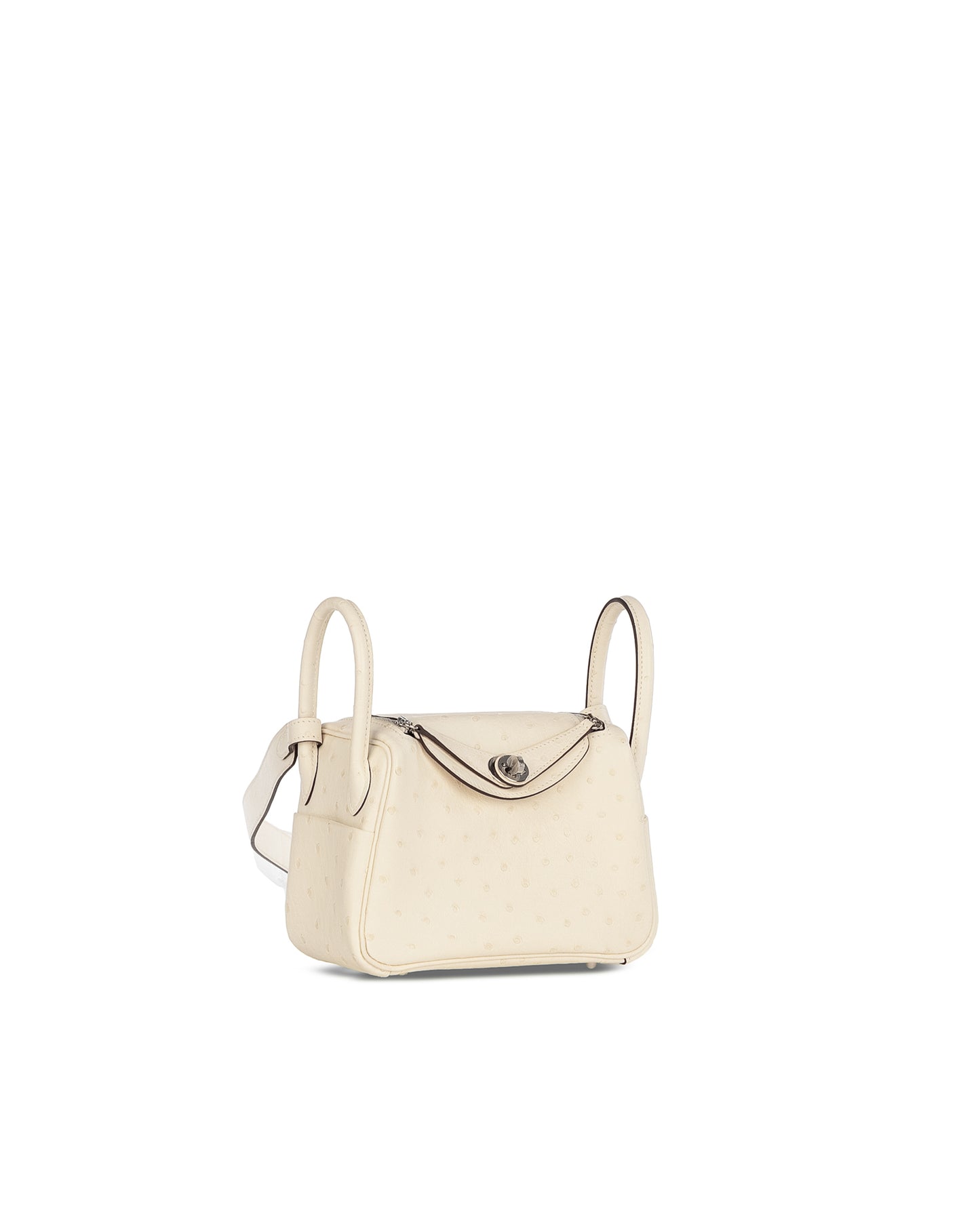 Mini Lindy in Nata Boreal Ostrich Leather with Palladium Hardware