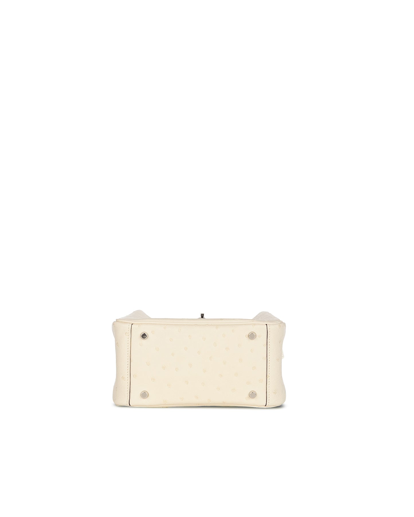 Mini Lindy in Nata Boreal Ostrich Leather with Palladium Hardware