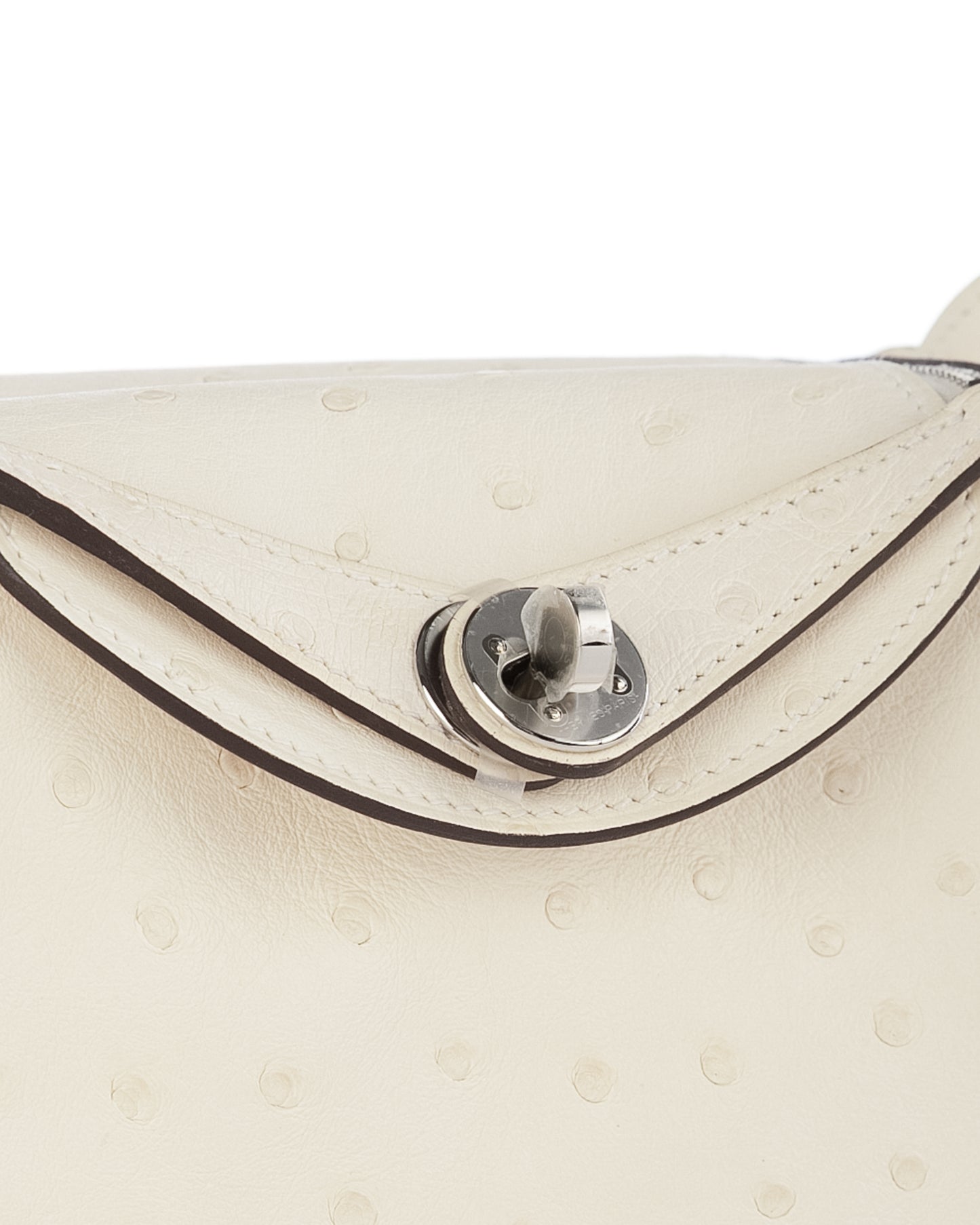 Mini Lindy in Nata Boreal Ostrich Leather with Palladium Hardware