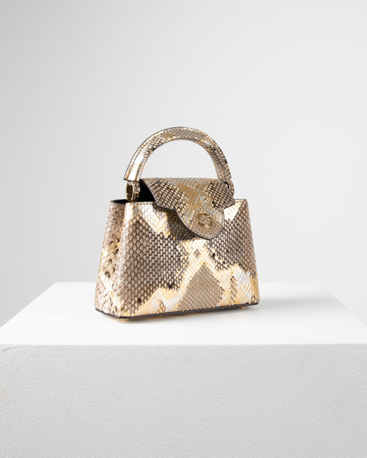 Louis Vuitton Capucine Bag