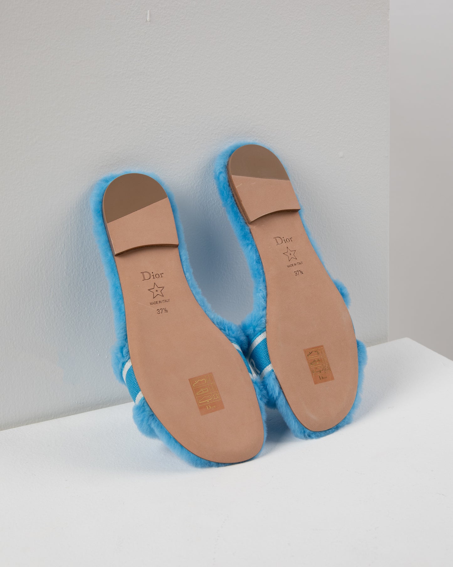 Dior Chez Moi Slide - Bright Blue Embroidered Cotton and Shearling