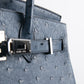 Birkin 30 in Blue Roi Ostrich with Palladium Hardware
