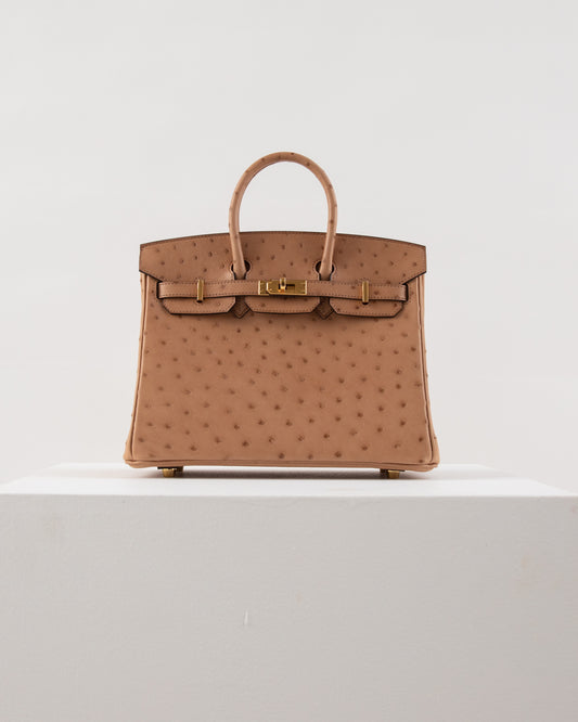 Birkin 25 Chai in Ostrich Skin with Gold Hardware