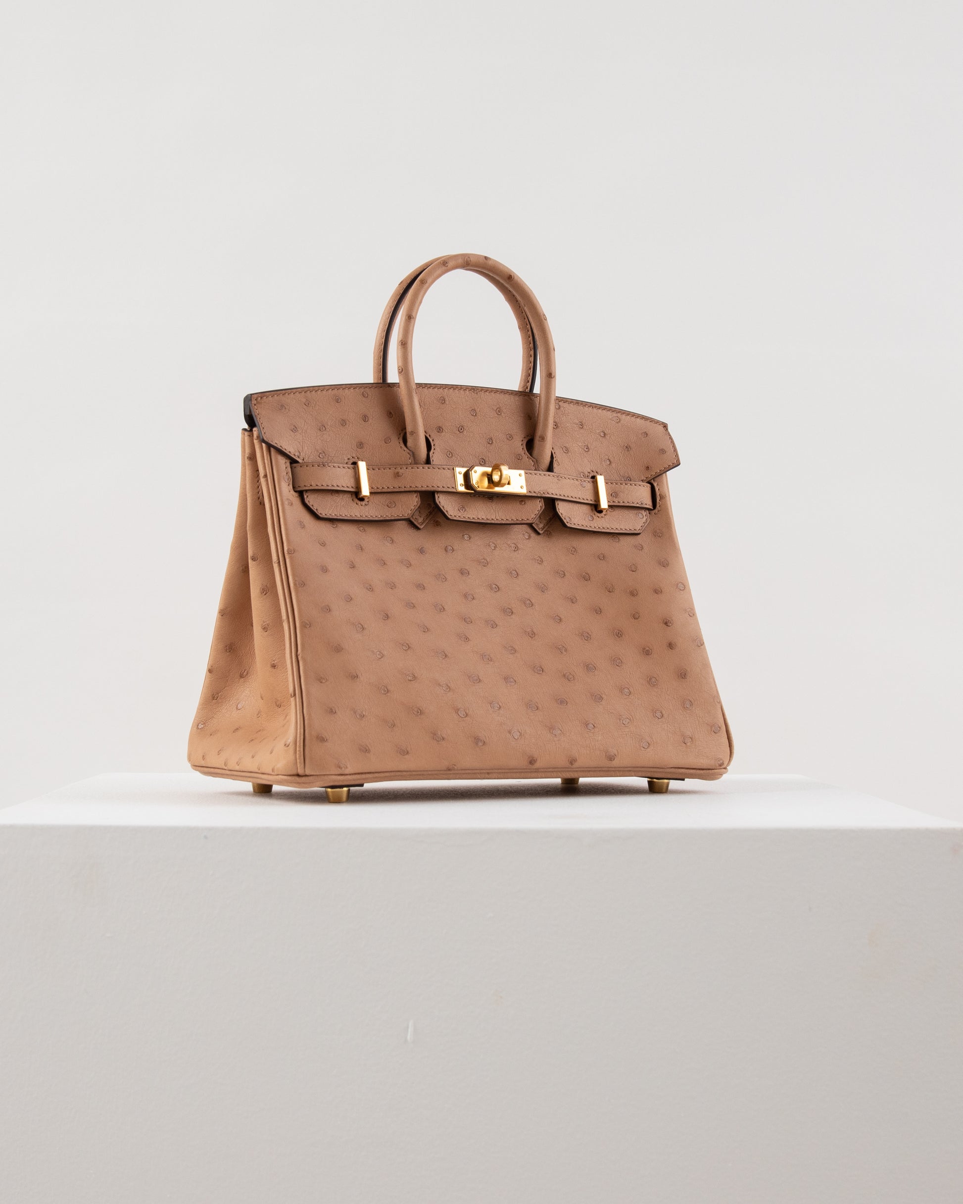 HERMÈS Ostrich Birkin 25 handbag in Chai with Gold hardware-Ginza Xiaoma –  Authentic Hermès Boutique