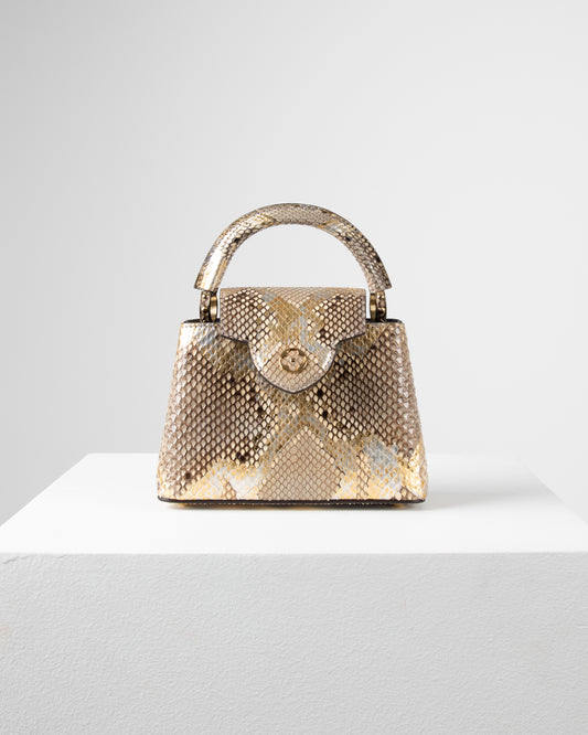 Louis Vuitton Capucine Bag